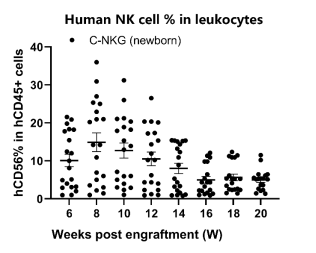重度免疫缺陷小鼠C-NKG