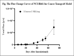 重度免疫缺陷小鼠C-NKG