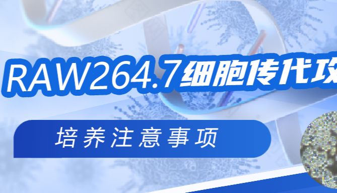 干货|RAW264.7细胞传代攻略！