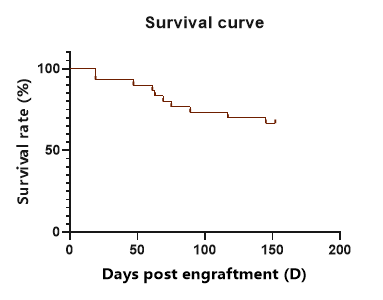 重度免疫缺陷小鼠C-NKG