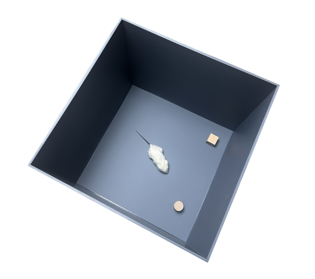 新物体识别箱，大鼠新物体识别箱，小鼠新物体识别箱