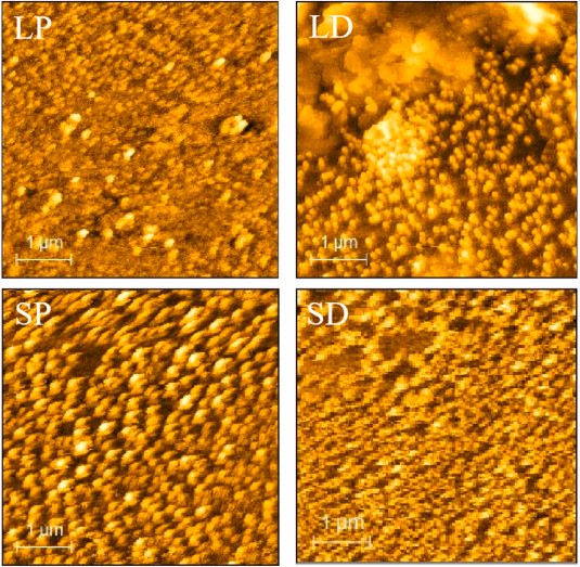 便携式芯片原子力显微镜
