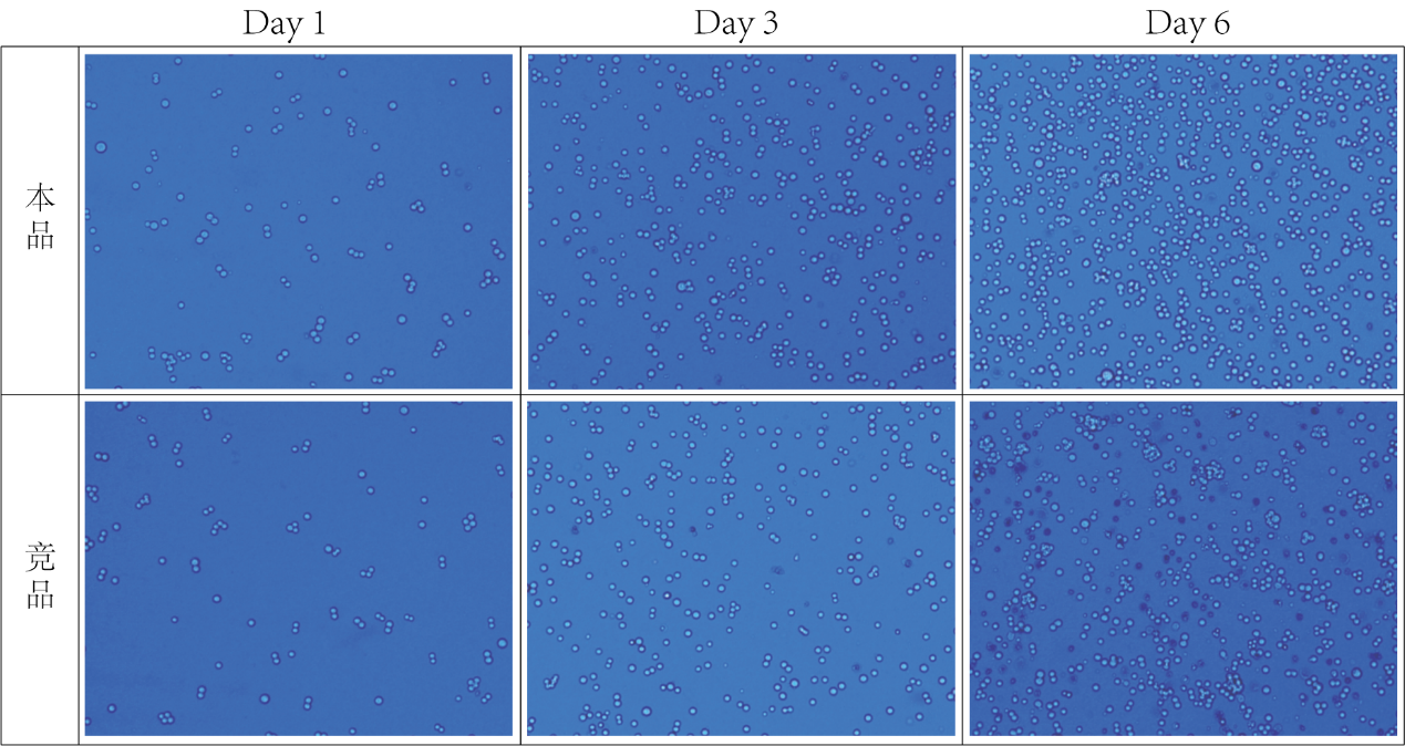 外泌体专用293无血清培养基补料
