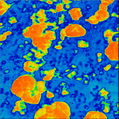 便携式芯片原子力显微镜
