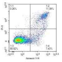 检测实验丨流式细胞术检测细胞凋亡 (Annexin V/PI 法）