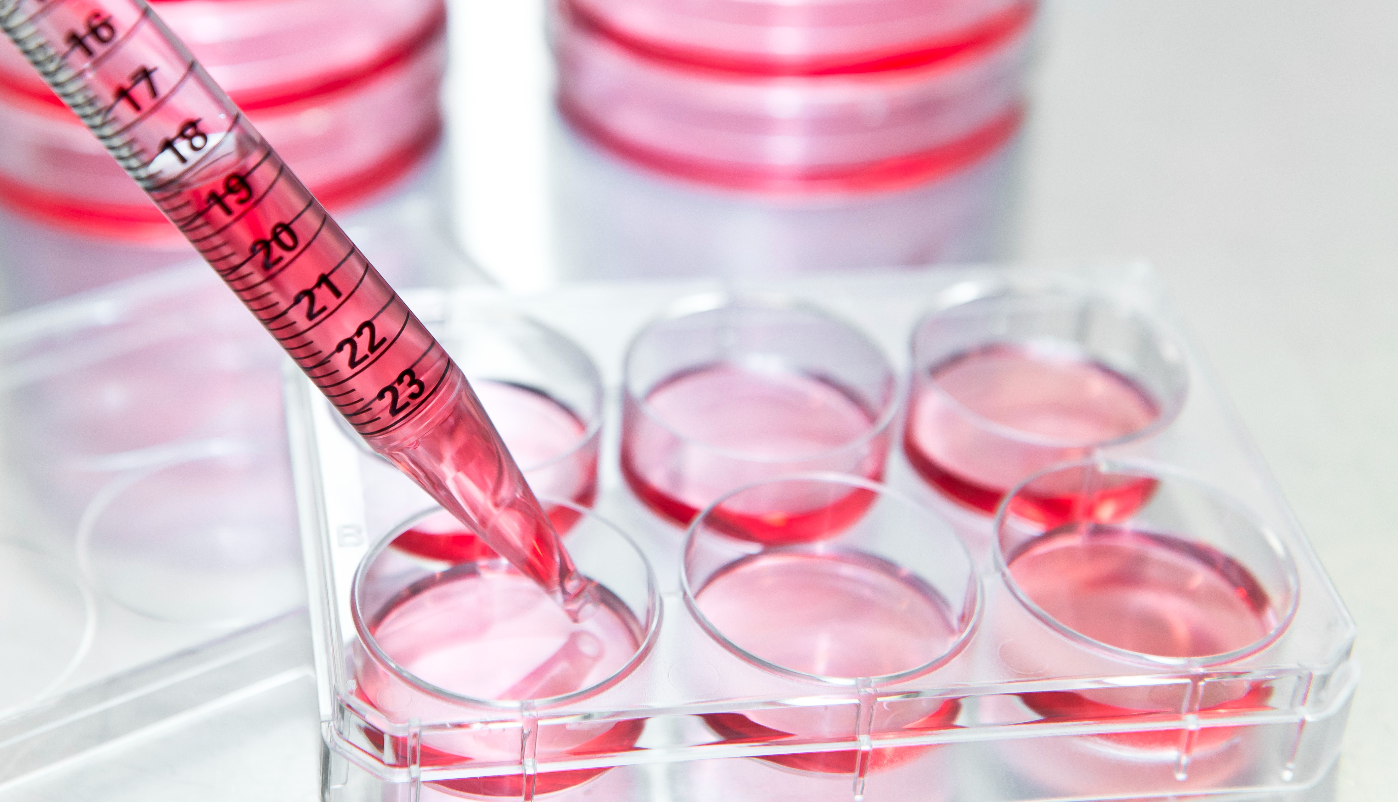 新产品：293-EV-UP 套装