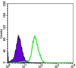 Mouse Monoclonal Antibody to C