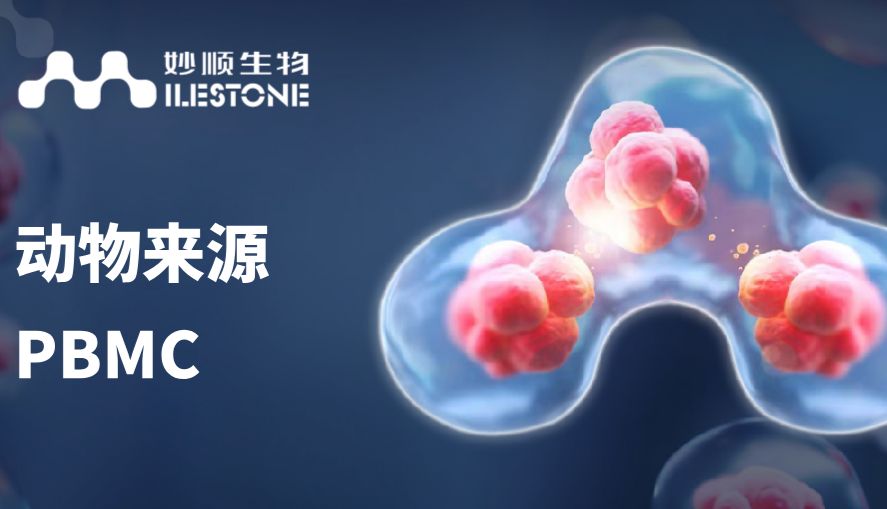 妙顺生物 | 动物来源PBMC上市
