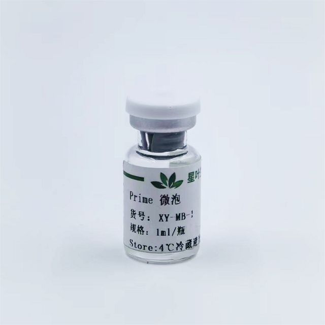 Prime 超声微泡造影剂