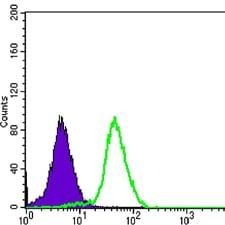 Mouse Monoclonal Antibody to CD276