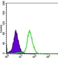 Mouse Monoclonal Antibody to CD276