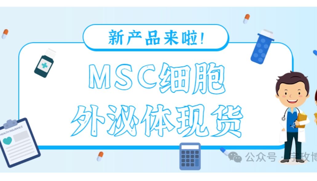 新产品：MSC 细胞外泌体（人）