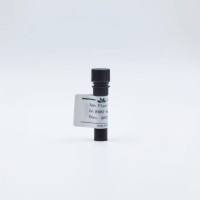 CelGreen（效果同GelGreen）核酸染料（10,000× DMSO溶液）