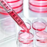 外泌体专用293无血清培养基补料