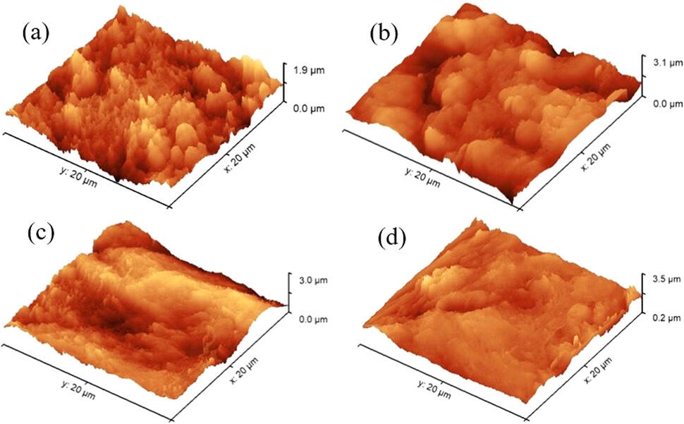 便携式芯片原子力显微镜