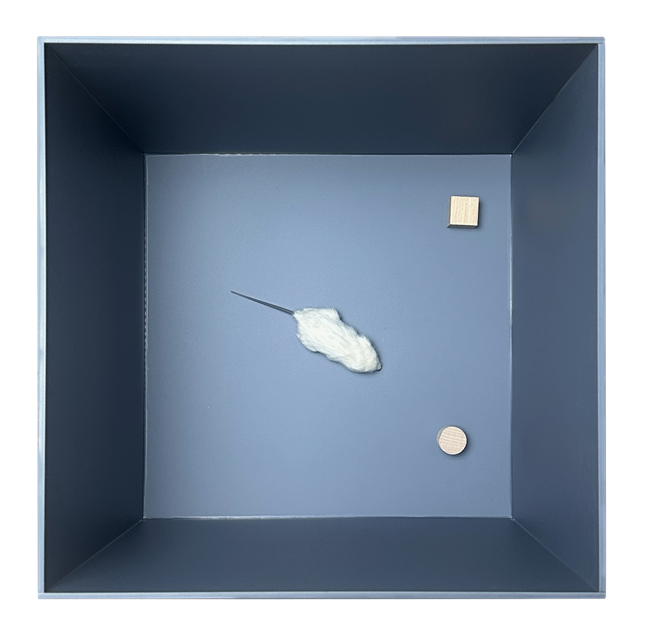 新物体识别箱，大鼠新物体识别箱，小鼠新物体识别箱