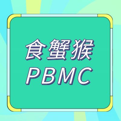 食蟹猴PBMC