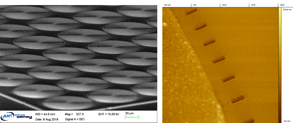 便携式芯片原子力显微镜