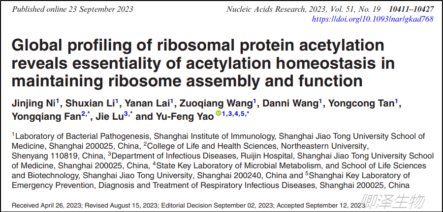 Nucleic Acids Res. |Polysome profiling助力揭示细菌核糖体蛋白乙酰化的重要性