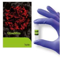 GlowMito-Red fluorescent mitochondria probe