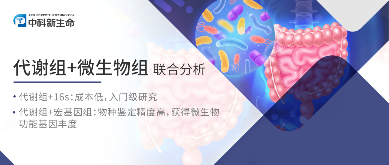 NAT COMMUN（IF 14.7）| 无分子细胞验证的多组学研究如何发高分文章-2