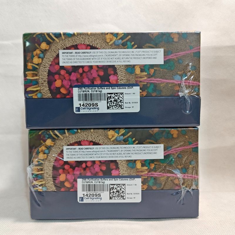 Cell Signaling Technology 14209S  DNA Purification Buffers and Spin Columns (ChIP, CUT&RUN) DNA 纯化缓冲液和离心柱（ChIP、CUT&RUN）1 Kit