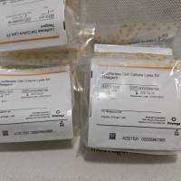 Promega E1531 Luciferase Cell Culture Lysis 5X Reagent 30ml