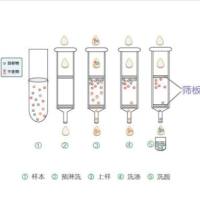 Supelco 504270 Suplclean LC-18小柱，100mg/1ml  108支