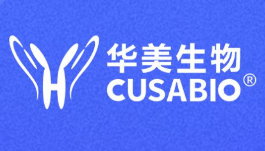 直播回放|抗Payload抗体：ADC药代动力学（PK）的有效分析工具