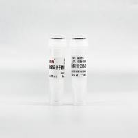 WJ201 非预染蛋白Marker 10~235 kD