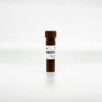 GRF102 磷酸酶抑制剂混合液(100×）