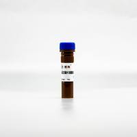 GRF103 蛋白酶和磷酸酶抑制剂混合液(100×, 不含 EDTA)