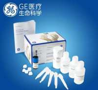GE,29026516,p_Cytiva Cell Health Reagent A.B (29026516)