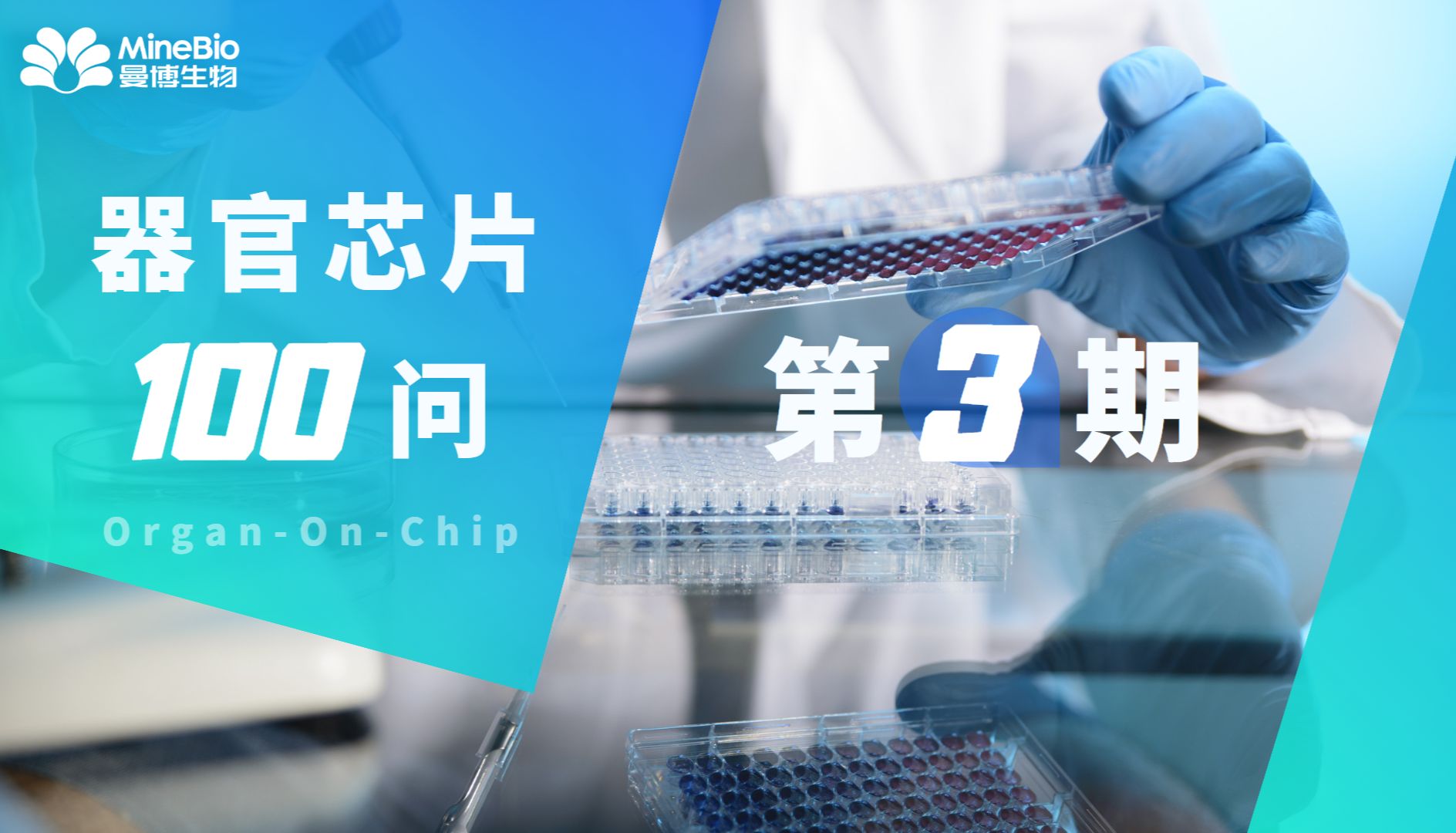 【器官芯片100问】第3期_微流控_OOC