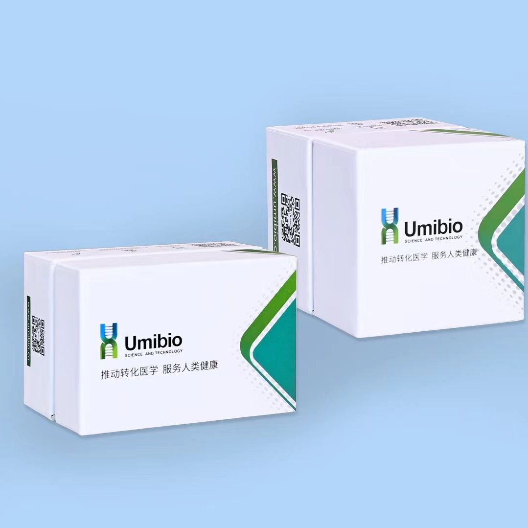 外泌体提取试剂盒（细胞上清） 400mL大体积提取