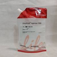 thermo scientific 16500-100 Invitrogen™ UltraPure™ 琼脂糖 100g