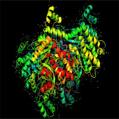 Recombinant Human GNAI2
