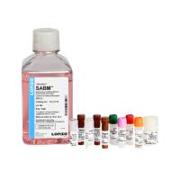 LONZA  CC-3118  SAGM小气管上皮细胞培养基套装(CC-3119+CC-4124)