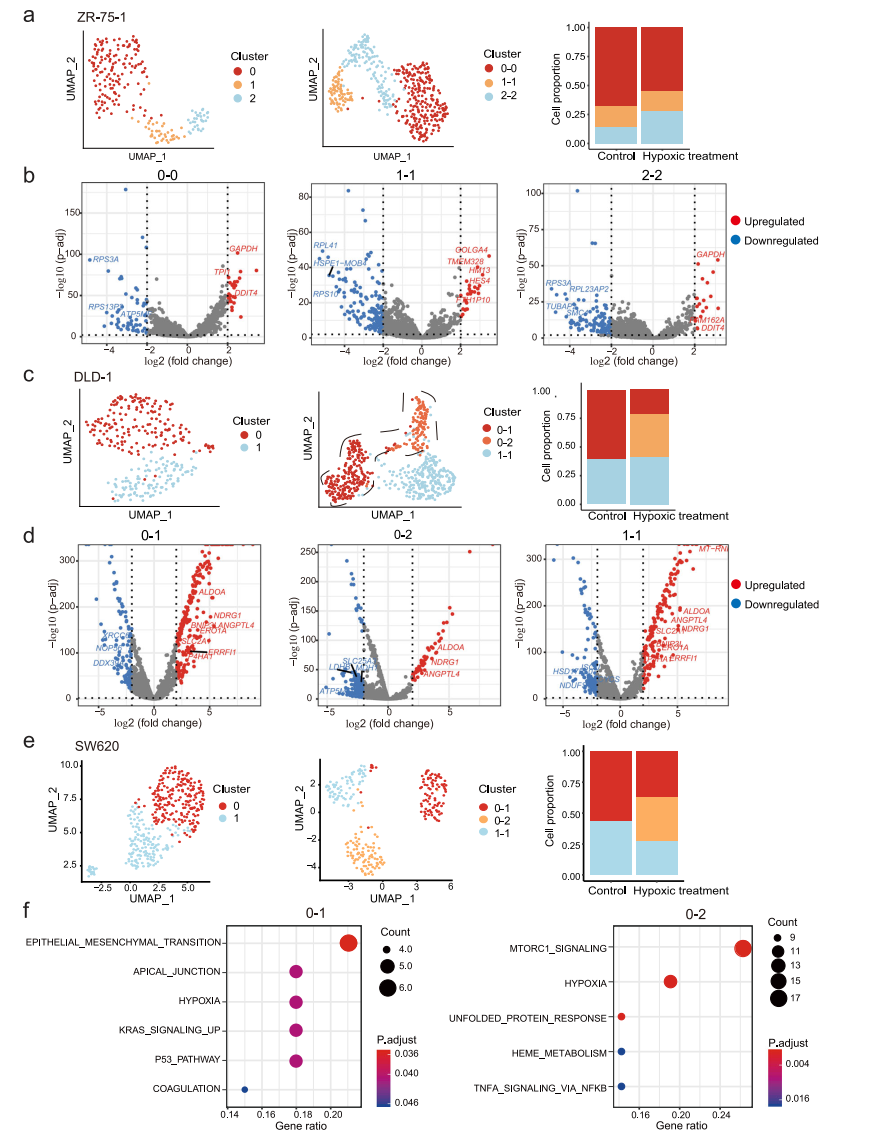 文献解读 | 单细胞多组学揭示人类癌细胞系的细胞异质性