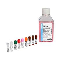 LONZA  CC-3166  PrEGM前列腺上皮细胞培养基(CC-3165+CC-4177)