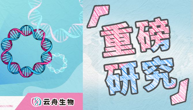 Nature深度报道云舟生物最-新质粒研究，业界反响强烈