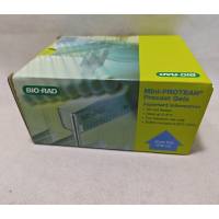 Bio-Rad 4561093 Mini-PROTEAN TGX™ 预制胶 10包