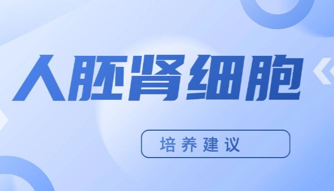 BIOCHANNEL 培养建议 | 人胚肾细胞