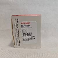Invitrogen PA5-1004888 Phospho-BRCA1 （Ser1524）多克隆抗体 100μl