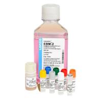 LONZA  CC-3162 CC-3156 CC-4176  EGM-2 SingleQuot