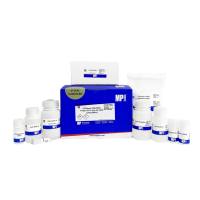MP  116544050  DNA/RNA/蛋白质共提取试剂盒（柱膜法）