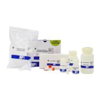 MP 116543050 SPINeasy™ 组织总RNA提取试剂盒 含裂解介质A