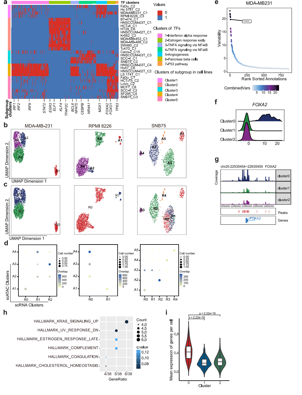 文献解读 | 单细胞多组学揭示人类癌细胞系的细胞异质性