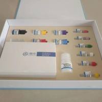 猴信号传导转录激活因子2(STAT2)酶联免疫试剂盒