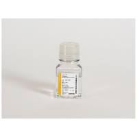 LONZA  BEBP17-605E  L-谷an酰an(200mM)